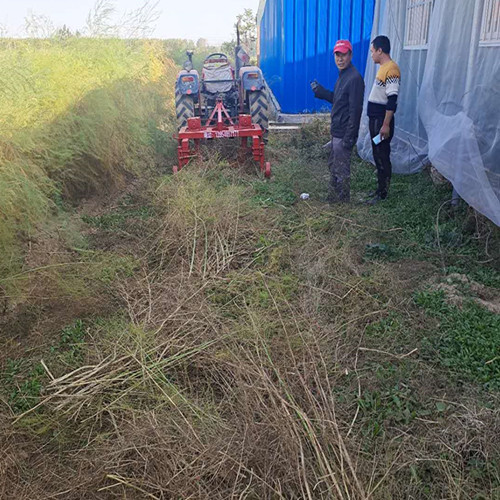 蘆筍割殃機(jī) 割蘆筍殃機(jī)廠家批發(fā)