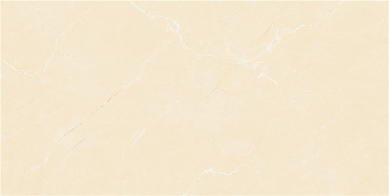 300*600 PM36P03