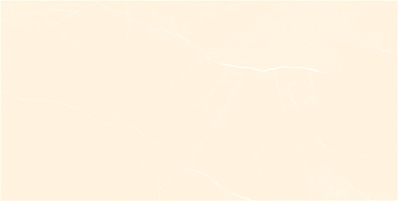 300*600 PM36P01