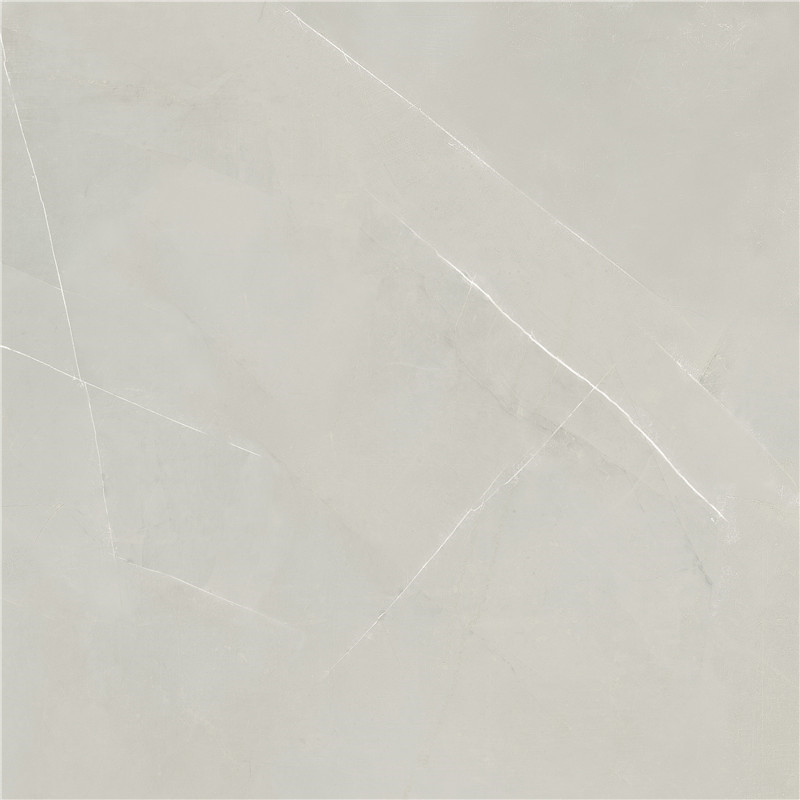 600*600 PM6010