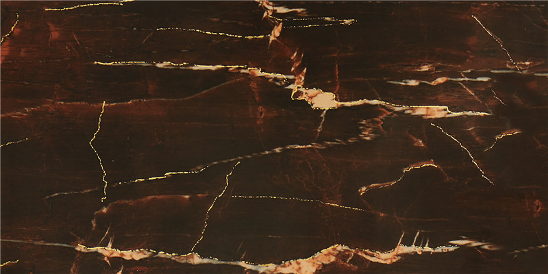 PM8808D---.jpg