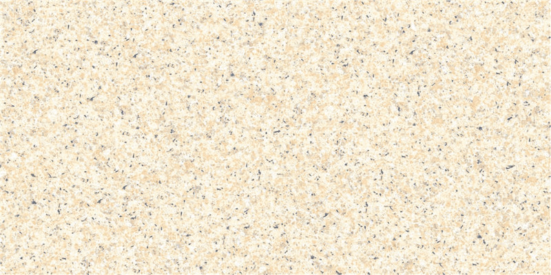 PM24003-2.jpg