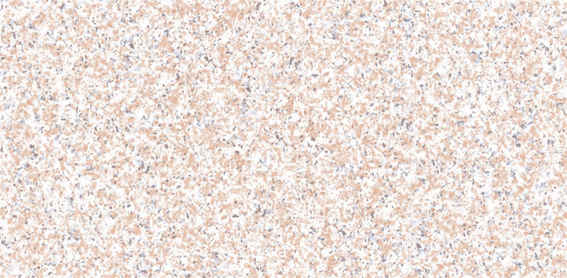 PM24002