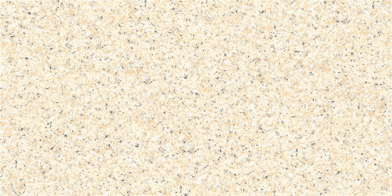 PM24003