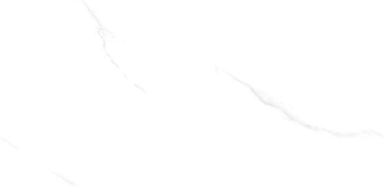 PM12672____.jpg